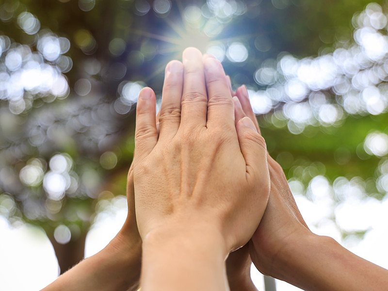 Hands joined to show teamwork